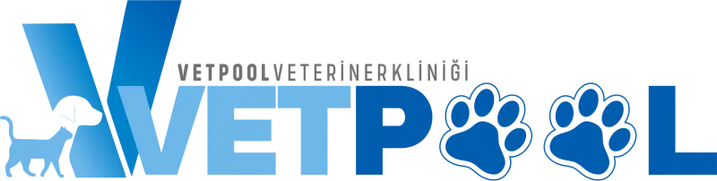 Başiskele Vetpool Veteriner Kliniği Web Sitesi Yayında